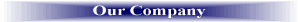 our company